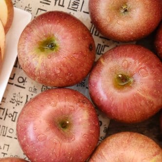 친환경팔도 [경상북도][산지직송] 과즙가득 의성 흠집 사과(중) 4kg