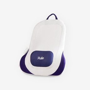 등허리 쿠션 마사지기