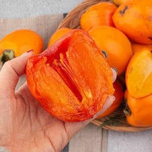 산해직송 대봉감 특대과 5kg (15과수 내외)