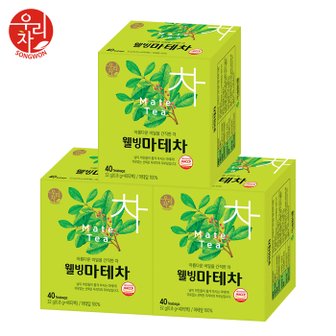  송원 웰빙 마테차 40티백 x3개 (120T)