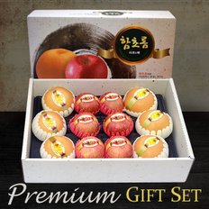 [명절 후 배송] [과일예찬] 프리미엄 사과/배혼합세트6kg(사과6과,배6과)