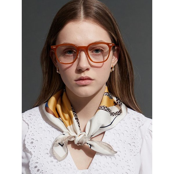 E493 SOFT BROWN 안경