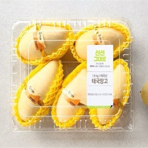[태국산] 골드망고 스페셜 (5~8입, 1.8kg)
