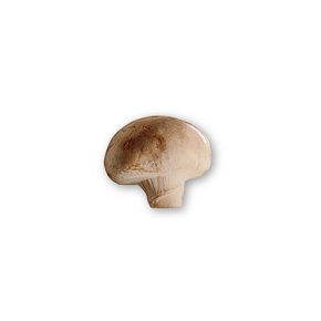 MUSHROOM GRIP TOK