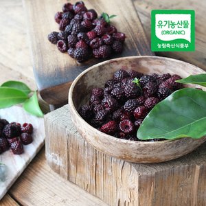 친환경팔도 [산지직송] 전남 보성 무농약 토종 복분자(급냉) 4kg