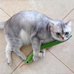 고양이 강아지 비닐 뱀 장난감 인형 쿠션 놀이 반려동물 애완동물...