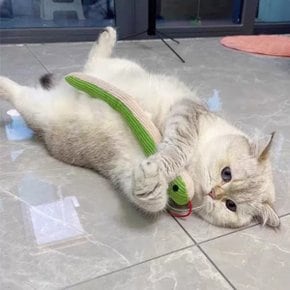 고양이 강아지 비닐 뱀 장난감 인형 쿠션 놀이 반려동물 애완동물...