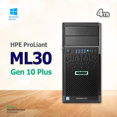 ML30 Gen10 Plus E-2314 2.8G 16GB 4TB 2022OS