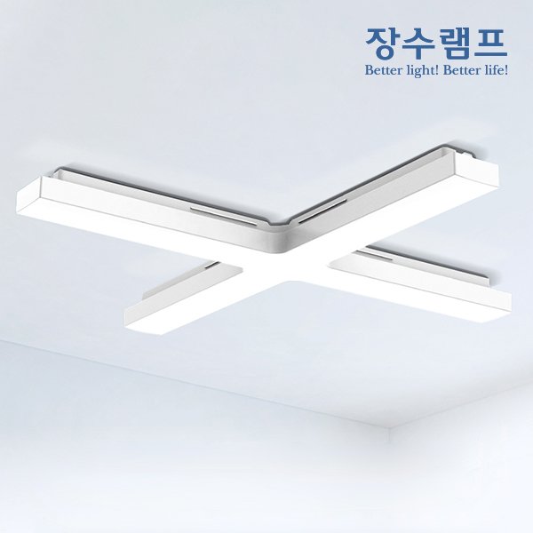 확대된 대표 대표이미지