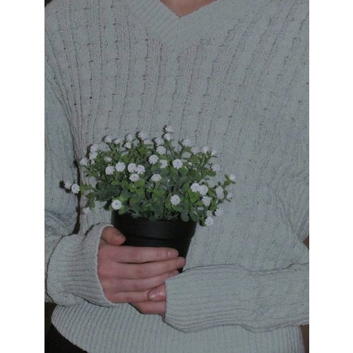 Add Image 2