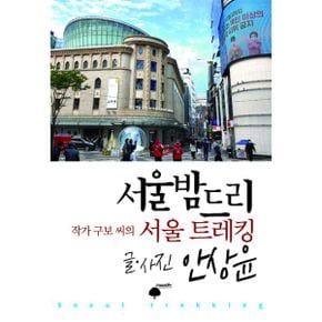 서울밤드리 : 작가 구보 씨의 서울 트레킹