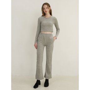 velvet top & track pants set up - gray