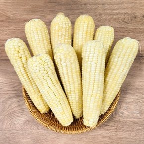쪄서가는 백찰옥수수 특대 10개입 17-19cm