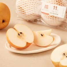  [당도선별] 천안 신고배 3입 1.9kg (팩)