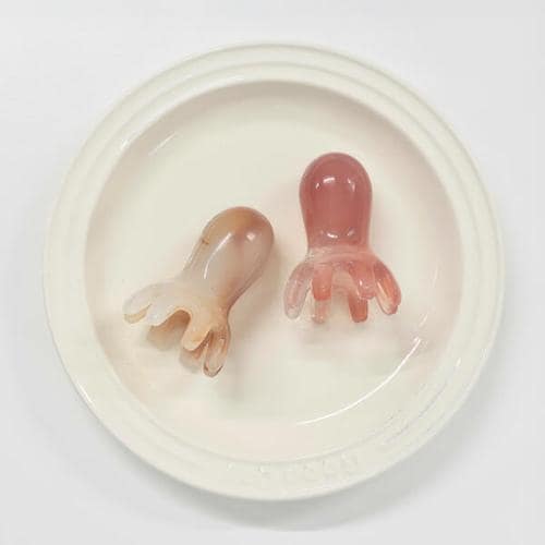 IMAGE2