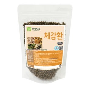 체감환 300g