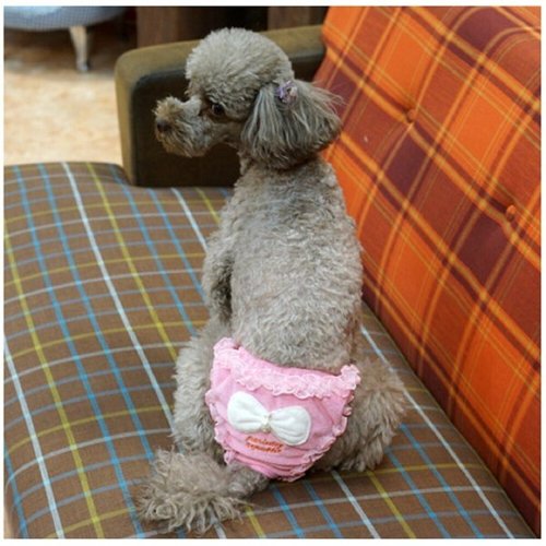 상품이미지2