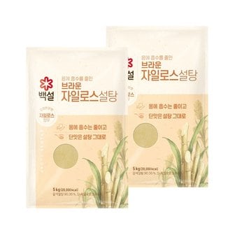  백설 브라운 자일로스 설탕 5kg x2개