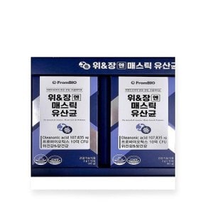 프롬바이오 위장엔 매스틱 유산균 2박스 위엔장 위앤장 위앤장앤 위엔장엔 x3SET(SH)