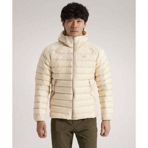 https://tmg728.cafe24.com/mall/admin/shop/download_image/20260602/3795627.jpg
