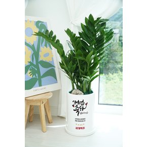 [축하화분]개업 메세지화분 사무실이전 개업축하문구 취임선물 꽃배달 영전 취임 이전