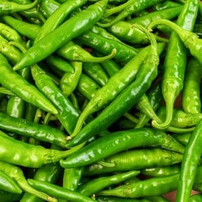프레시 국내산 청양고추 특 1kg