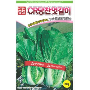 배추씨앗종자 CR당찬엇갈이 (20g)