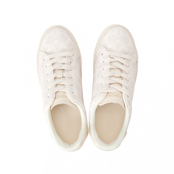 [부산점] 하이라인 시그니처 여성 스니커즈 CCN67 OFW