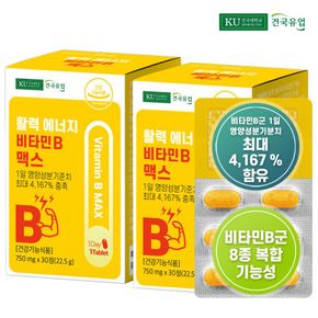 건국유업 활력 에너지 비타민B 맥스x2개[32287052]