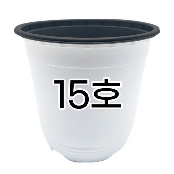 확대된 대표 상품이미지1