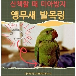 NO1 앵무새 발목링 산책 링 조류 비둘기 훈련 리드 줄 이름 각인 미아 비행 외출