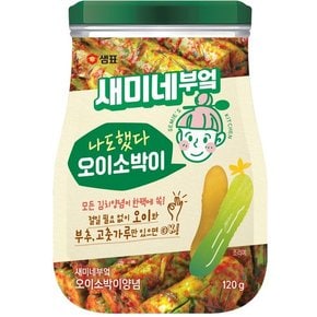 세미네부엌 각종 김치 양념 모음전