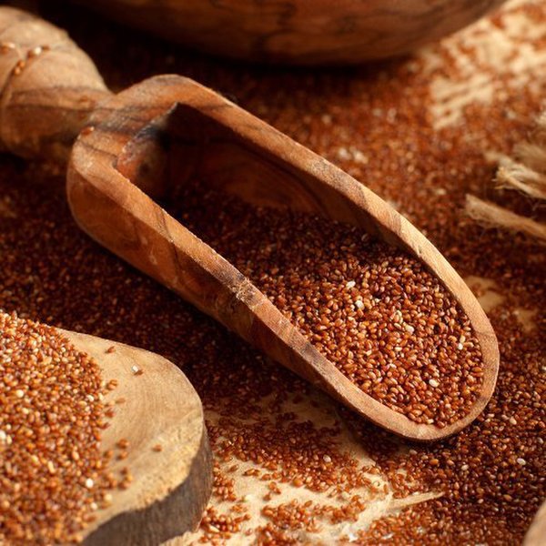 비웰 테프 발효 효소 골드S 30포 5박스