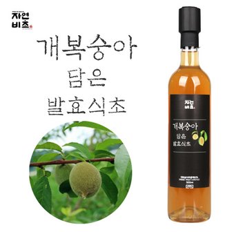 자연비초 개복숭아 담은 발효식초 500ml 천연 전통발효