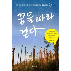 꿈을 따라 걷다 땅끝 해남에서 강원도 고성까지 46일 동안의 국토대장정