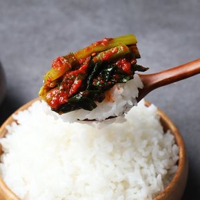 여수 돌산 갓김치 2kg / 전라도 김치 전통식품인증 HACCP인증