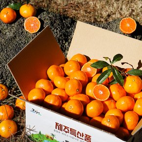 새콤달콤 제주 감귤 하우스 귤 1kg 로얄과(S-M / 8-12과)
