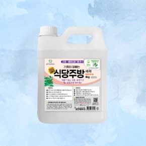 보현채우미 기름때 식당주방 클리너 4kg 아스토니쉬 (WD3A993)