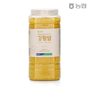 농협 울금담은 강황쌀 2.2kg