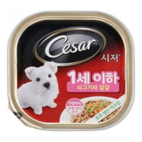 시저 쇠고기와 달걀 캔 1세이하 100g UNP0065 X ( 3매입 )