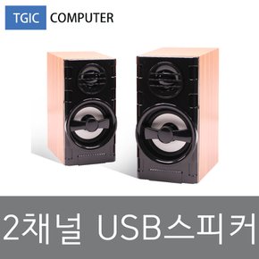 USB 2채널스피커 TGS-U2 (볼륨조절컨트롤)