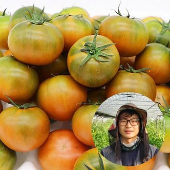 참다올 GAP인증 대저농협인증 부산문상찬님의 짭짤한 대저토마토2.5kg(S사이즈)