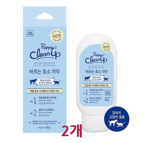 클린업 치킨맛 바르는효소치약 80g x 2개 애견애묘용