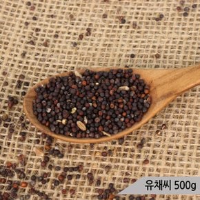 건강알곡 유채씨 500g 앵무새 햄스터 모이 간식 사료