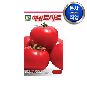 예광 큰토마토 씨앗 100립 . 대과종 채소 텃밭 파종 주말 농장 파종 씨 종자