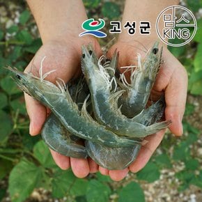 팔딱새우 활새우/생새우 1kg 국내산양식/당일어획포장