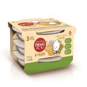 햇반 유기농쌀밥 130g x 3