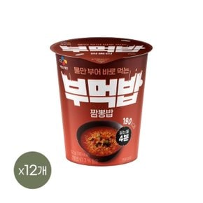 CJ 부먹밥 짬뽕밥 52g x12개