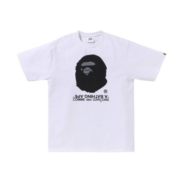 확대된 대표 https://tmg1927.cafe24.com/mall/admin/shop/download_image/20250702/1457269.jpg