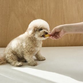 반려동물 강아지 고구마 말랭이